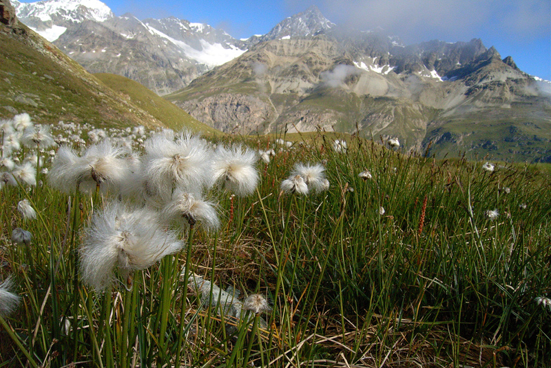 d0054625_21283486.jpg