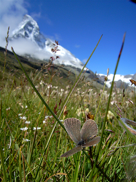 d0054625_21372162.jpg