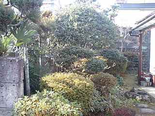 ぼちぼちと・・・_f0031037_17345329.jpg