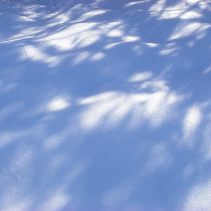 c0067040_233271.jpg