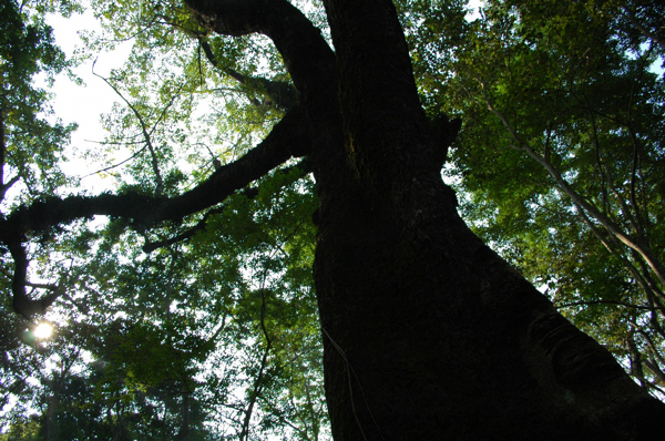 c0149641_23105521.jpg