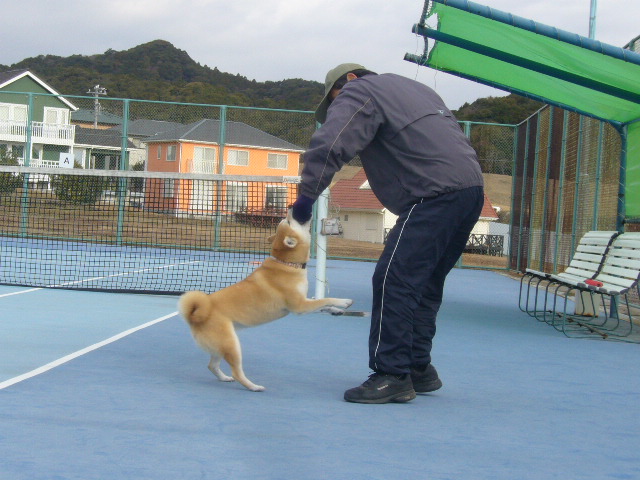 ２００８年１月５日（土）遊び始め！仕事始め！_f0060461_14161695.jpg