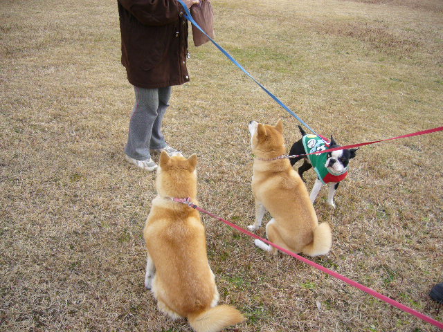 2008年1月5日(土)遊び始め!仕事始め!_f0060461_14224835.jpg