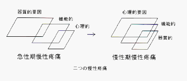 痛みにはたしかに時間軸がある_b0052170_15564193.gif