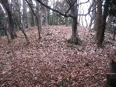 a0087378_4402329.jpg