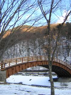 c0135480_2305457.jpg