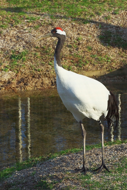 c0135381_21174592.jpg
