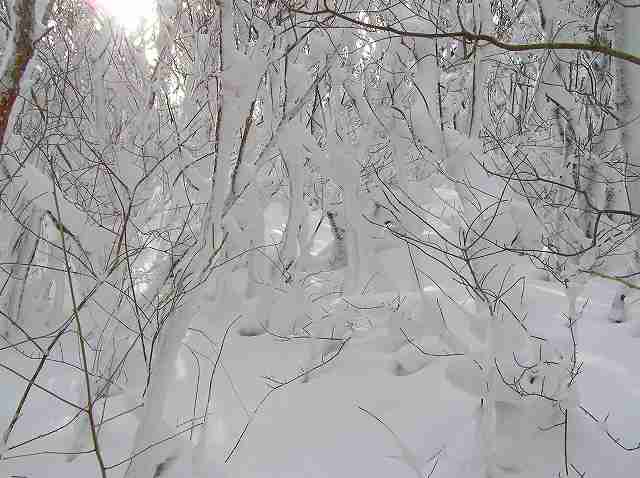 b0047184_1102957.jpg