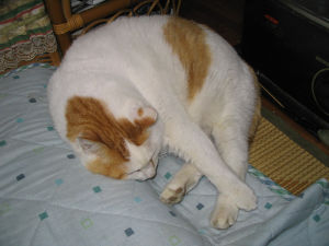 c0049489_23281738.jpg