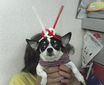 c0109891_1923872.jpg