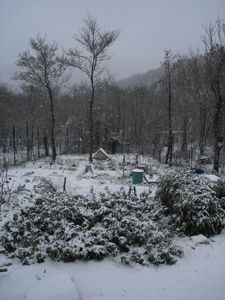 雪が降りました_f0106597_4214815.jpg