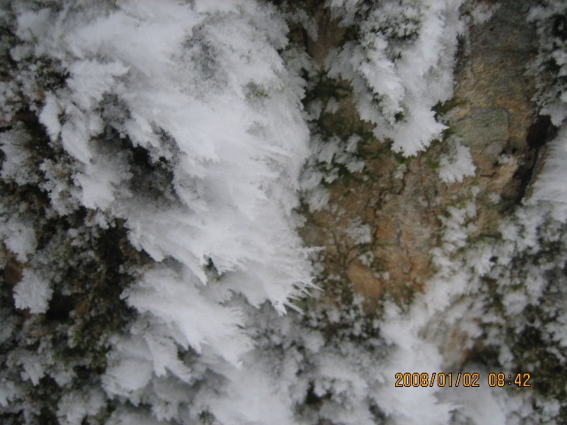 台高明神平　久しぶりの雪山にて！_c0147398_1526566.jpg