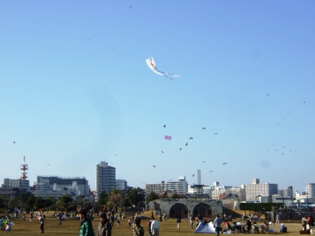 b0087400_22471950.jpg
