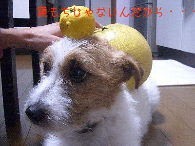 a0051402_22464193.jpg