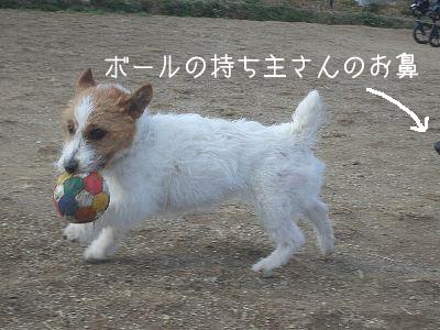 a0051402_2352498.jpg