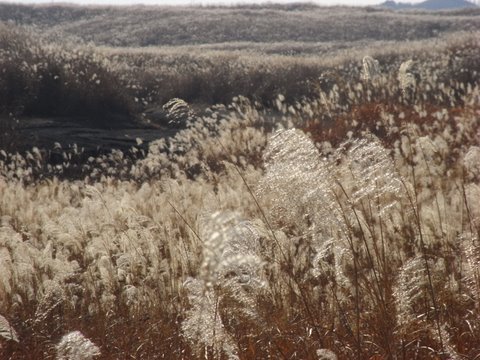 c0156703_1933197.jpg