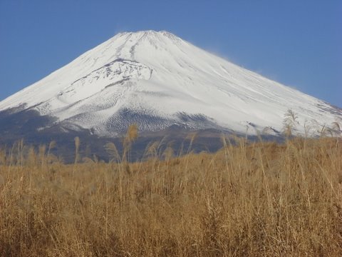 c0156703_19334328.jpg