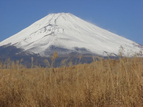 富士山。_c0156703_19334328.jpg