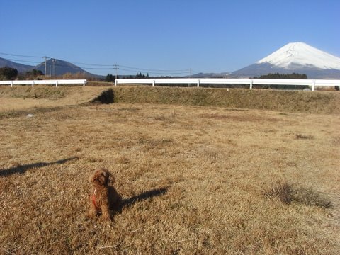 c0156703_2032313.jpg