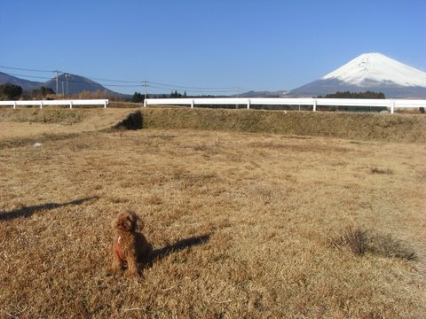 富士山。_c0156703_2032313.jpg