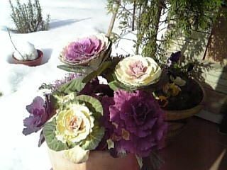 e0015006_22494521.jpg