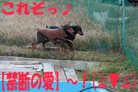 e0100007_16145139.jpg