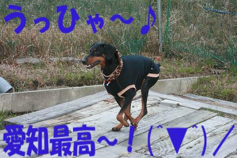 e0100007_16191725.jpg