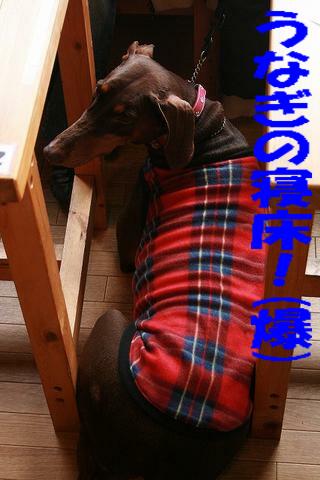 e0100007_16255240.jpg