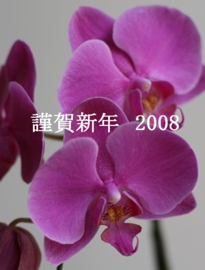 今年もよろしくお願いいたします_b0113510_21413944.jpg