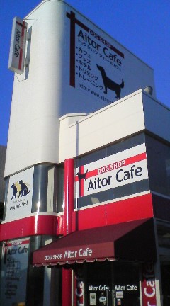 e0049811_1731628.jpg