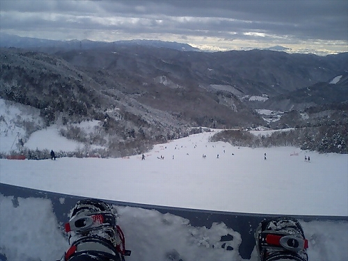 a0059315_20141587.jpg