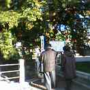 d0085018_239379.jpg