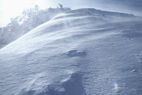 a0068424_2343234.jpg