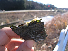 e0089826_8363977.jpg