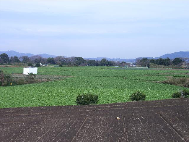 c0039428_2223507.jpg