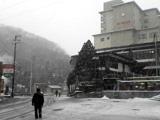 天気予報がハズレてしまいました～　(゜o゜)_e0037129_1764367.jpg