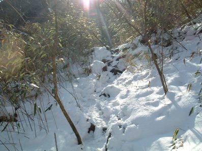 c0077338_23331395.jpg