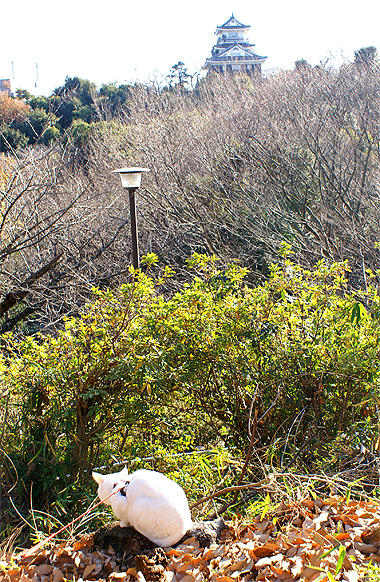 e0077839_21532829.jpg