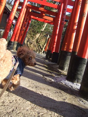 信貴山朝護孫子寺_f0068649_1825367.jpg