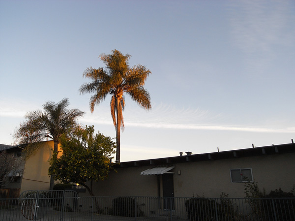 a0004752_10372221.jpg