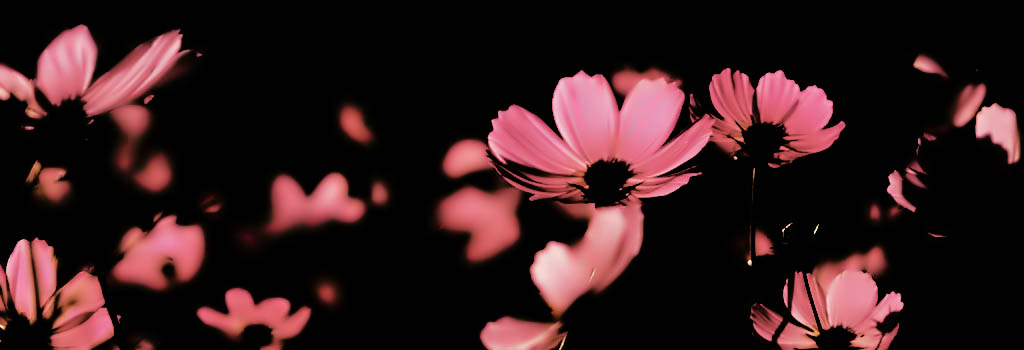 紳士同盟CROSS．天宮潮: 明き。秋。不輸。冬