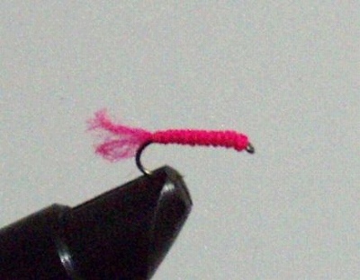 f0073059_15518.jpg