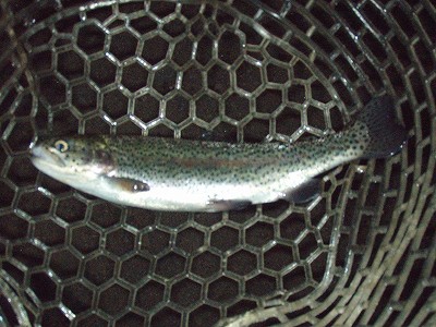 f0073059_17819.jpg
