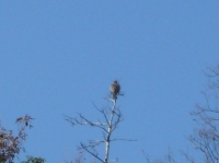 c0108460_16443927.jpg