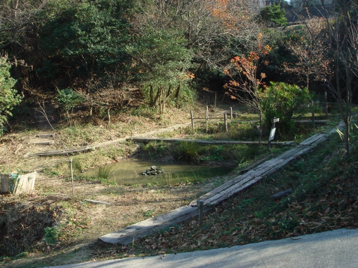 c0108460_16455333.jpg