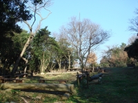 c0108460_1754139.jpg