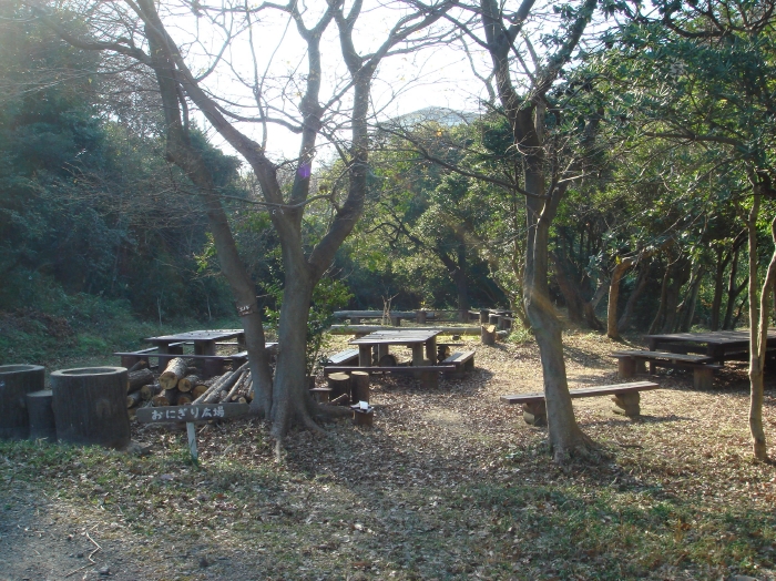 c0108460_1763375.jpg