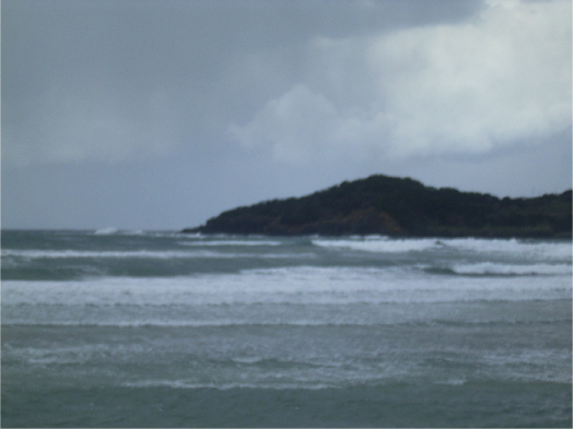 d0076864_810630.jpg
