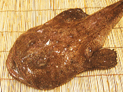 あん肝の誘惑と雑炊の魅惑。 2008年1月13日_d0083265_082100.gif