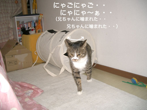 a0084070_0124486.jpg